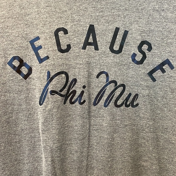 Phi Mu Sorority size L gray tshirt - Picture 2 of 4